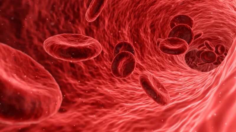 blood g40f20fbcd 1280 e1679903149756