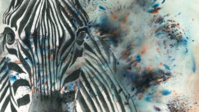 Zebra