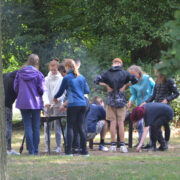 Grillen scaled