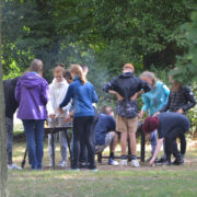 Grillen scaled