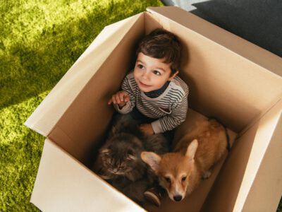 Junge mit Hund und Katze