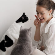 Katze
