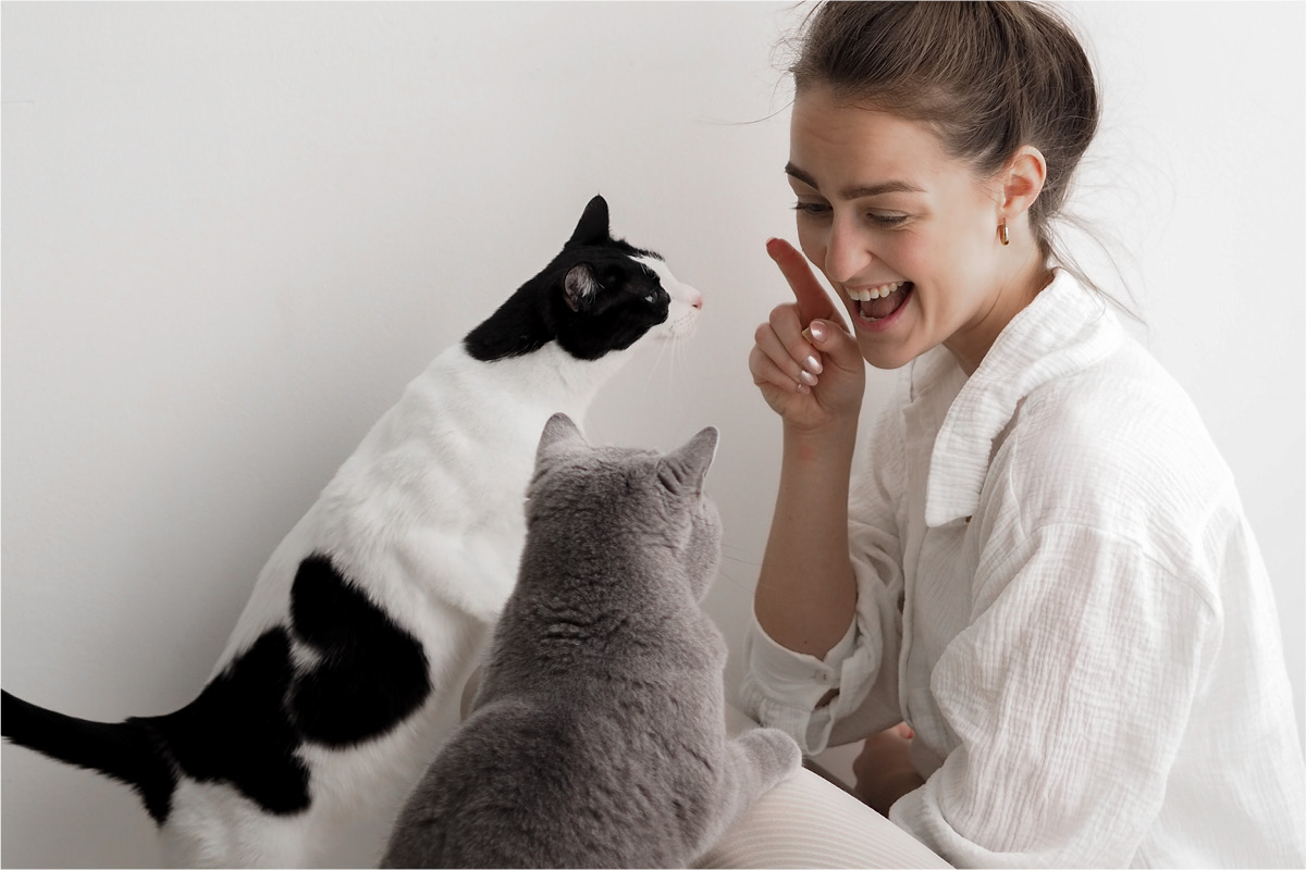 Katze