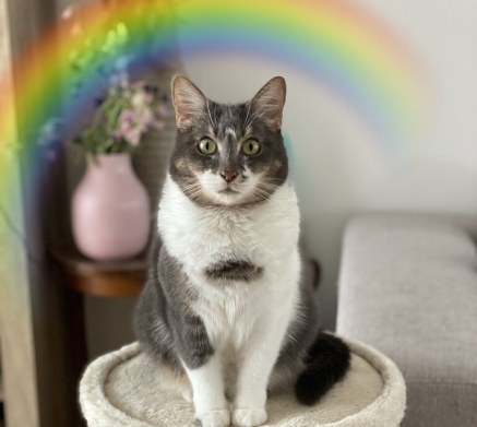 photoeffekte.com photoeffekte.com