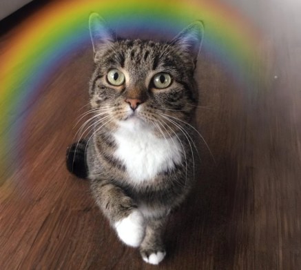 photoeffekte.com (1) photoeffekte.com (1)