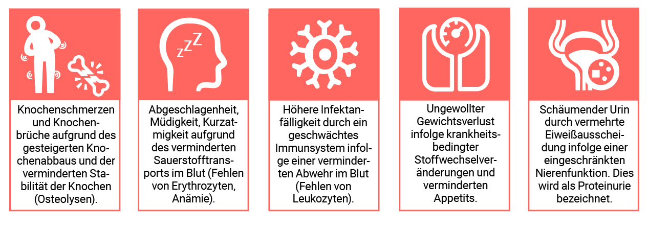 Infografik: Mögliche erste Beschwerden beim Multiplen Myelom Infografik: Mögliche erste Beschwerden beim Multiplen Myelom