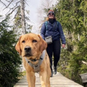 Labradorhündin Holly läuft vor ihrer Halterin Jessica Stiller auf einem Holzsteg durch den Wald. Jessica arbeitet bei AGILA und nimmt Holly regelmäßig mit ins Büro