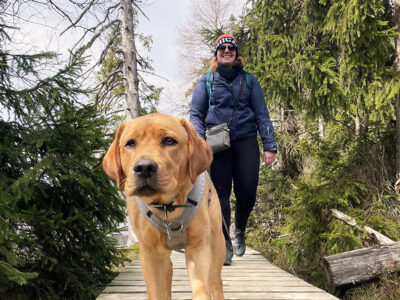Labradorhündin Holly läuft vor ihrer Halterin Jessica Stiller auf einem Holzsteg durch den Wald. Jessica arbeitet bei AGILA und nimmt Holly regelmäßig mit ins Büro