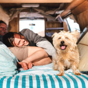 Paar entspannt im Camper mit kleinem Hund während eines Urlaubs. Der Artikel informiert über Durchfallerkrankungen bei Hunden auf Reisen und die Unterstützung der Darmgesundheit.