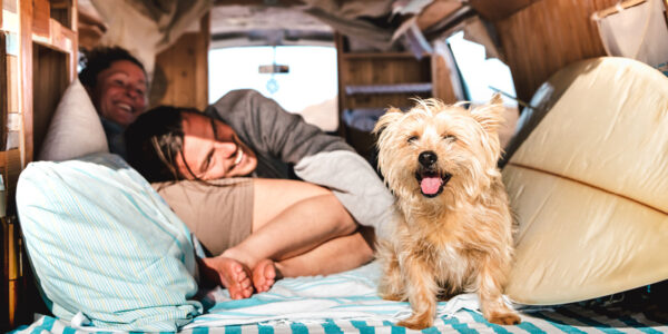 Paar entspannt im Camper mit kleinem Hund während eines Urlaubs. Der Artikel informiert über Durchfallerkrankungen bei Hunden auf Reisen und die Unterstützung der Darmgesundheit.