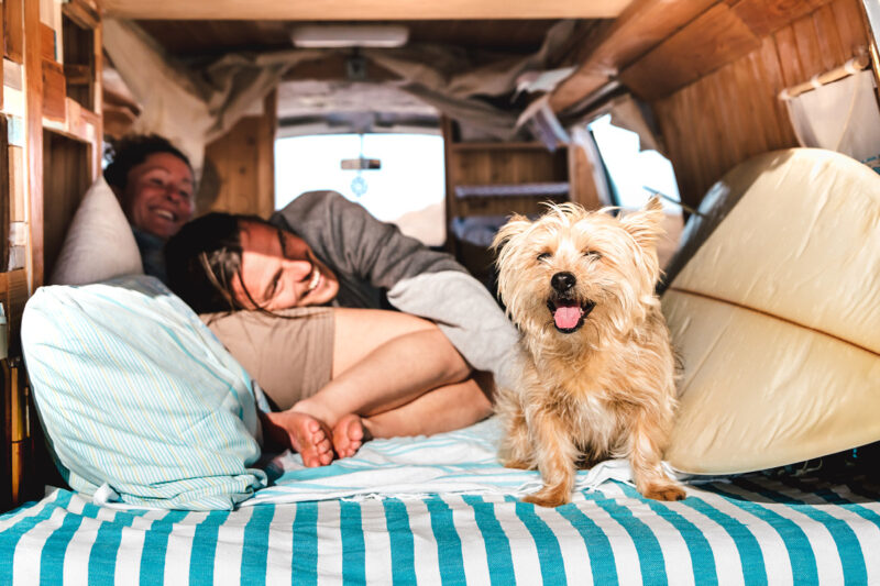 Paar entspannt im Camper mit kleinem Hund während eines Urlaubs. Der Artikel informiert über Durchfallerkrankungen bei Hunden auf Reisen und die Unterstützung der Darmgesundheit.